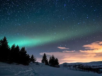 Activate Your Purpose