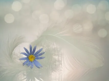 Activate Your Soul Alignment With This Heart Library Code