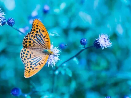 Activate Your Spiritual Connection