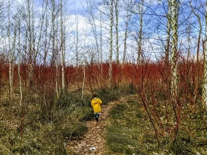 Activate Your Third Eye Chakra With Guided Meditation