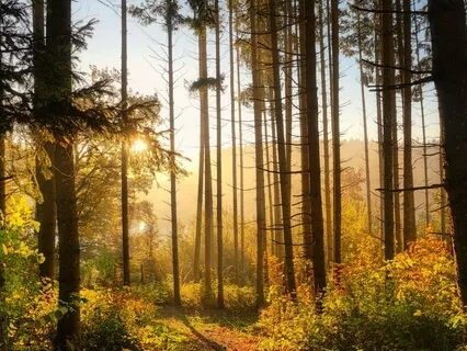 Activate Your Throat Chakra: Speak Your Truth