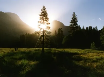 Activating & Aligning Your Three Brains