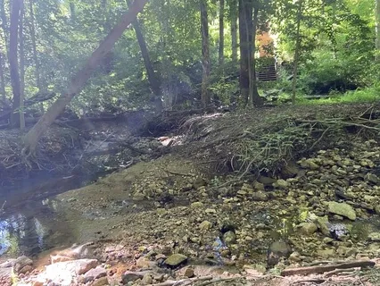 Activating & Amplifying Your Aliveness Guided Meditation