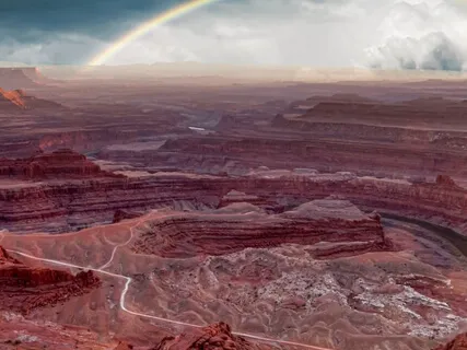 Activating And Healing The Root