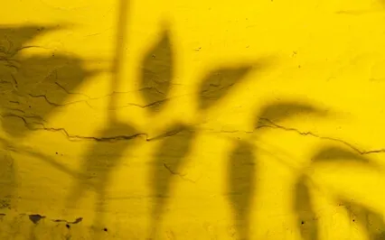 Activating & Healing The Solar Plexus