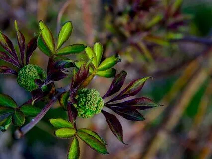 Activating Feminine Energy