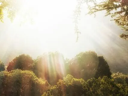 Activating Morning Practice - Breath Of Fire