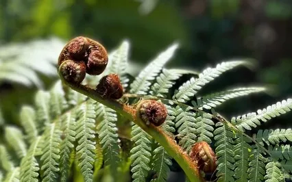 Activating My Discernment