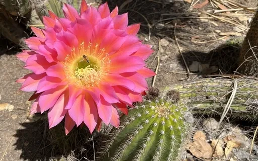 Activating Self Love