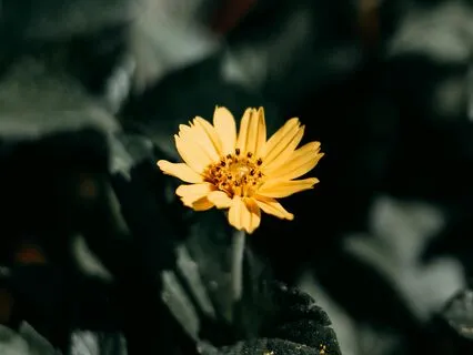 Solar Plexus Meditation With Breathwork