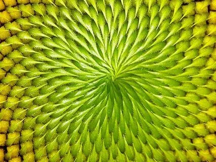 Activating The Virtuous Cycle:  Work On The Cushion