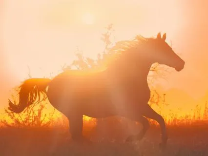 Activating The Year Of The Fire Horse