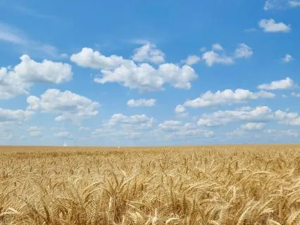 Activating Your Abundance Day 5