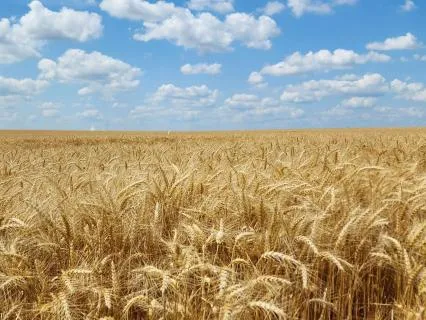 Activating Your Abundance