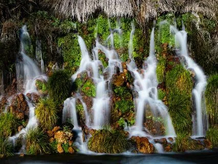 Activating Your Creative Voice