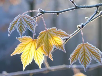 Activating Your Divine DNA In Human Form