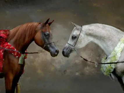 Activating your inner hero - Motivating meditation