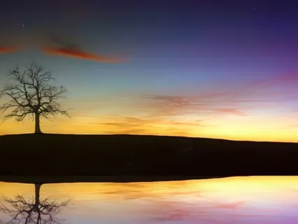 Activating Your Intuition: A Gene Key Activation Meditation