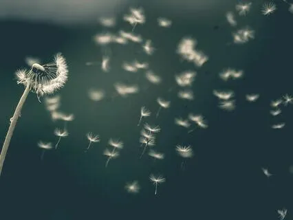 Activating Your Intuition Meditation