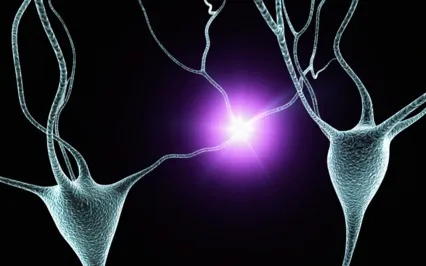 Activating Your Vagus Nerve