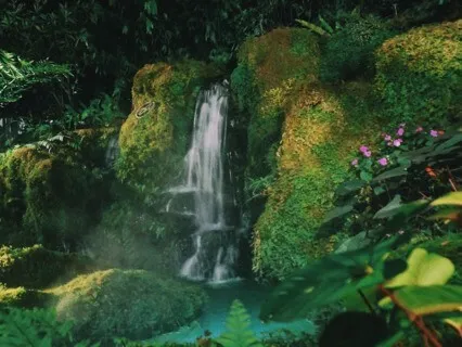 Activation Affirmations From The Collective