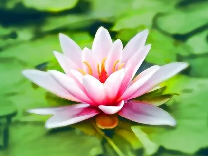 Activation Of Love (639Hz)