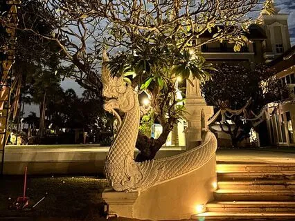 Activation Of Vital Energy: 5-Minute Meditation