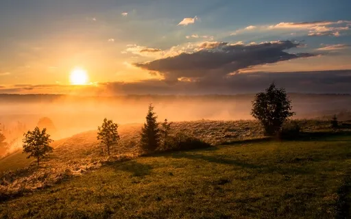 Activation To Love More