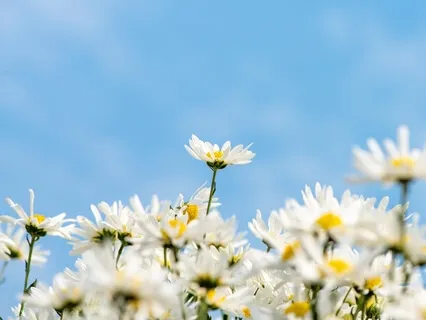 Active Body Energy Release