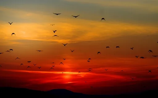 Active Full Body Surrender Meditation 