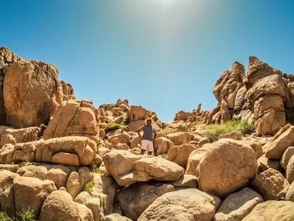 Active Imagination to Seek Answers