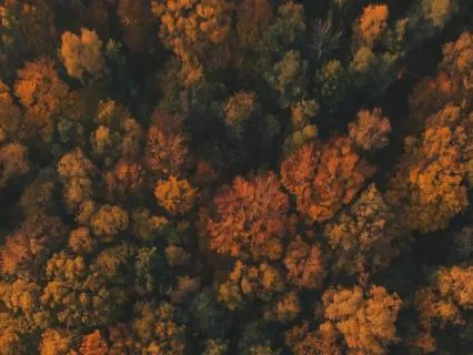 Active Relaxation | Daily Alignment Practice