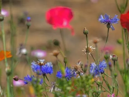 Active Relaxation | Every Moment Is A Fresh Beginning