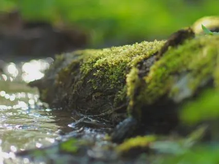 Active Relaxation | Love Of Your Own Being