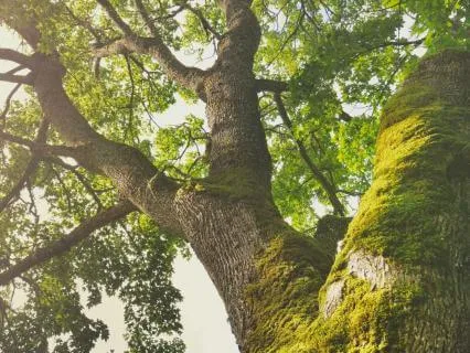 Active Relaxation | The Meaning Of Being