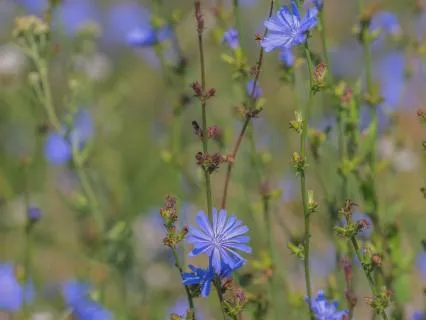 Active Relaxation | Bringing Yourself To The World