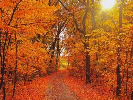 Active Relaxation | Following The Light Of You