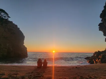 Actively Healing Cancer