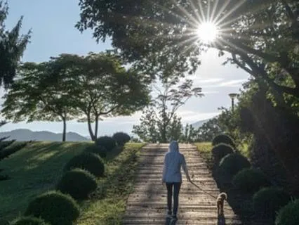 Actively Living And Manifesting