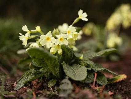 Acts Of Kindness  - February 09