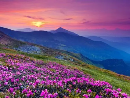 Actualize Abundance! 528 Hz + 888 Hz + 999 Hz Tuning Forks