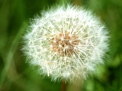 Að vinna með erfiðleika