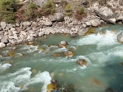 Adaptability And Finding Your Own Way