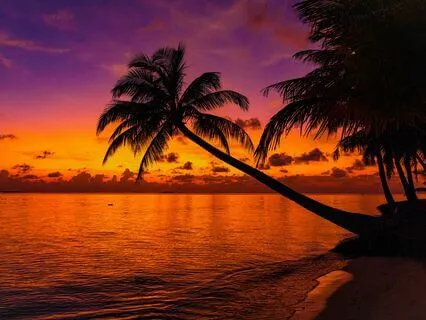 Addiction Recovery Frequencies: 4Hz - 8Hz (Isochronic Tones)