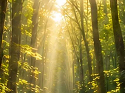 Addiction Recovery Meditation | Releasing Fear & Clinging