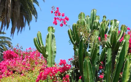 Addiction: What It Is & How To Get Out Of It