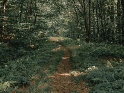 Addressing Anxiety - An Energy Balancing Exercise