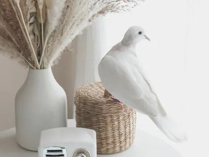 Addressing Current Events To Cultivate Peace