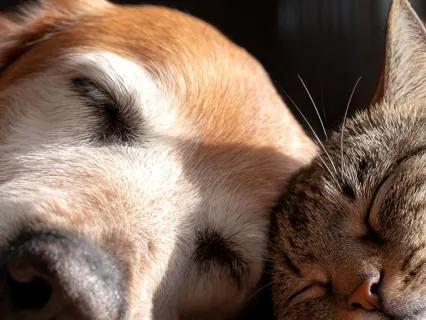 ADHD Deep Sleep: Brown Noise with Calming Tones