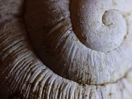 ADHD Focus Music | ADHD Hyperfocus Stimulation